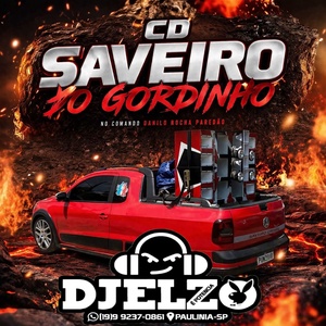 CD SAVEIRO DO GORDIN 2026 BY DJ ELZO