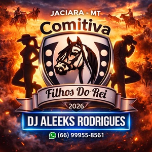 2 CD COMITIVA FILHOS DO REI EDIÇÃO 2026