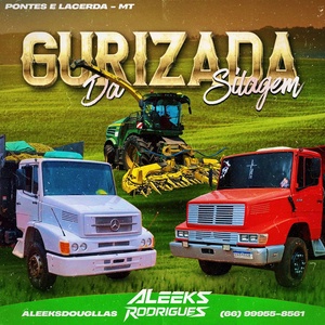 GURIZADA DA SILAGEM VOL.01 FUNK E LAMBA