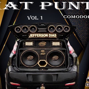 CD FIAT PUNTO VOL 1
