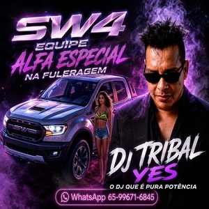 CD SW4 EQUIPE ALFA ESPECIAL NA FULERAGEM
