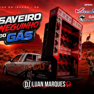 Saveiro Neguinho do Gas