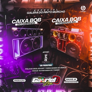 CD - ESPECIAL GALERA DO PINTO MURCHO