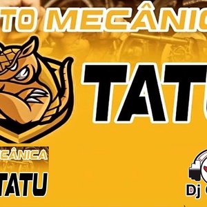 AUTO MECANICA TATU