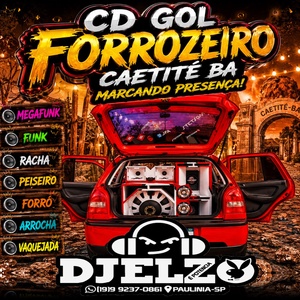 CD GOL FORROZEIRO 2026 BY DJ ELZO