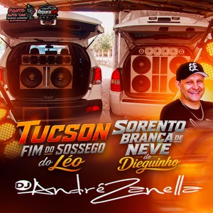 TUCSON FIM DO SOSSEGO  E SORENTO BRANCA