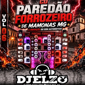 CD PAREDAO FORROZEIRO VOL 06 BY DJ ELZO