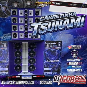 Cd Carretinha Tsunami By Dj Igor Fell