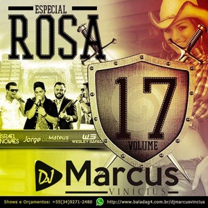 DjMarcusVinicius ESPECIAL ROSA 17 Sertanejo Balad...