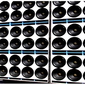 Bernardo Burille Cover