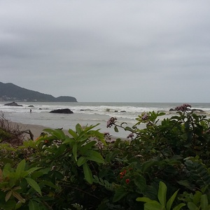 gisiele andrade Cover