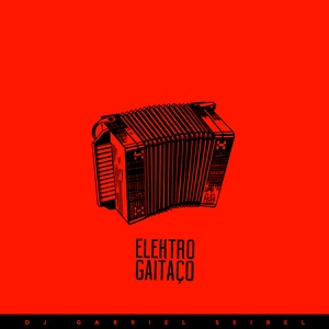 DJ Gabriel Seibel Cover