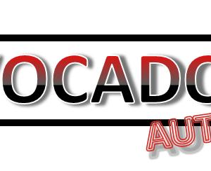 joo antonio silva Cover