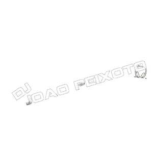 DJ Joao Peixoto