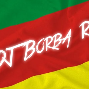 Dj Borba RS