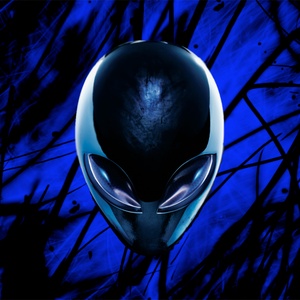 durval garcia dos reis junior