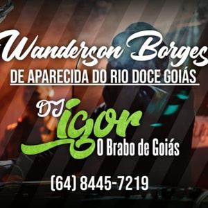 wanderson borges