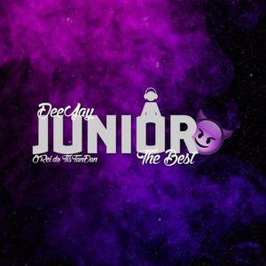 dj junior the best