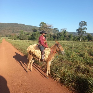 alan vitor de oliveira silva